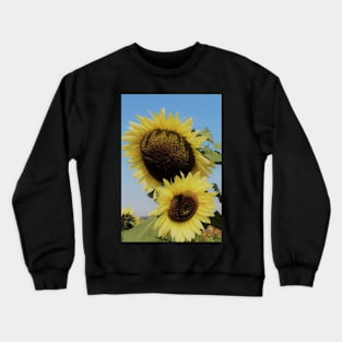 Big Pop of Yellow Crewneck Sweatshirt